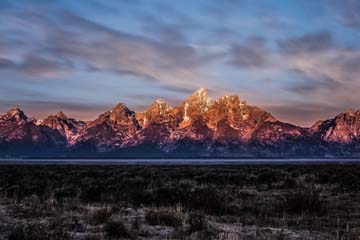 定期鑑定サポートのイメージ