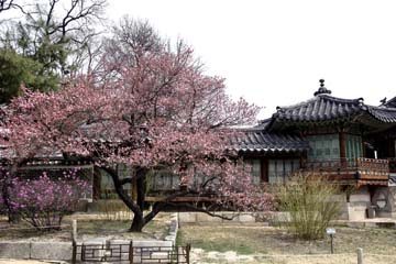 風水の注意点